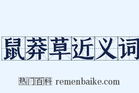 鼠莽草近义词是什么意思的图片